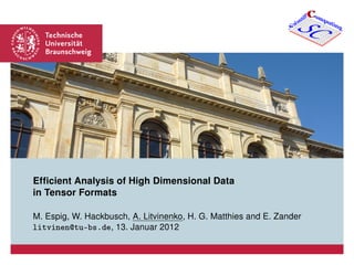 Efﬁcient Analysis of High Dimensional Data
in Tensor Formats
M. Espig, W. Hackbusch, A. Litvinenko, H. G. Matthies and E. Zander
litvinen@tu-bs.de, 13. Januar 2012
CC
SCScientifi omputing
 