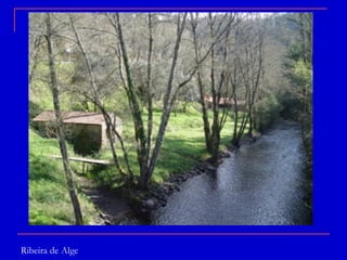 Ribeira de Alge 