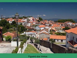 Figueiró dos Vinhos  