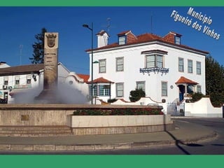 Município Figueiró dos Vinhos _ 