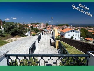 Município Figueiró dos Vinhos 