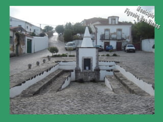 Município Figueiró dos Vinhos 