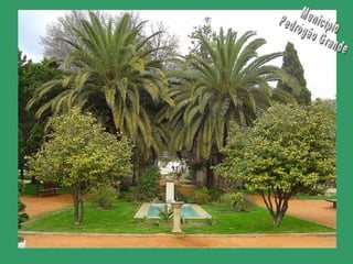 Município Pedrógão Grande 