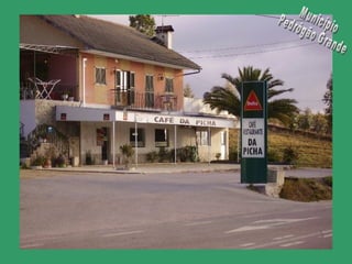 Município Pedrógão Grande 