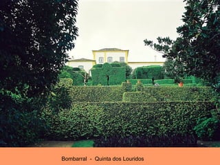 Bombarral  -  Quinta dos Louridos  