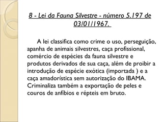 8 - Lei da Fauna Silvestre - número 5.197 de 03/01/1967.  A lei classifica como crime o uso, perseguição, apanha de animais silvestres, caça profissional, comércio de espécies da fauna silvestre e produtos derivados de sua caça, além de proibir a introdução de espécie exótica (importada ) e a caça amadorística sem autorização do IBAMA. Criminaliza também a exportação de peles e couros de anfíbios e répteis em bruto.  