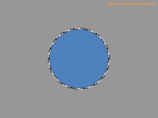 Ilusións de carácter fisiolóxico
 