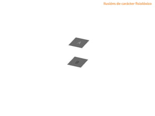 Ilusións de carácter fisiolóxico
 