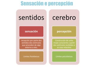 Sensación e percepción
sentidos
sensación
recepción por parte dos
sentidos dos estímulos
que proceden de algo
externo a eles.
Límites fisiolóxicos
cerebro
percepción
Construción de unha
imaxe consciente a partir
dos estímulos recibidos e
as súas relacións
Límites psicolóxicos
 