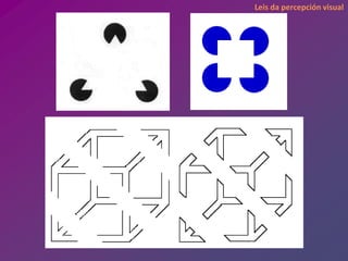 Leis da percepción visual
 