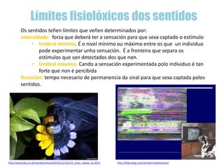 Límites fisiolóxicos dos sentidos
Os sentidos teñen límites que veñen determinados por:
Intensidade: forza que deberá ter a sensación para que sexa captado o estímulo
• Umbral mínimo. É o nivel mínimo ou máximo entre os que un individuo
pode experimentar unha sensación. É a fronteira que separa os
estímulos que son detectados dos que non.
• Umbral máximo. Cando a sensación experimentada polo individuo é tan
forte que non é percibida de forma completa
Duración: tempo necesario de permanencia da sinal para que sexa captada polos
sentidos.
http://www.bbc.co.uk/mundo/noticias/2010/12/101213_vision_abejas_lp.shtml http://blog.vetjg.com/vemiperrolatelevision/
 