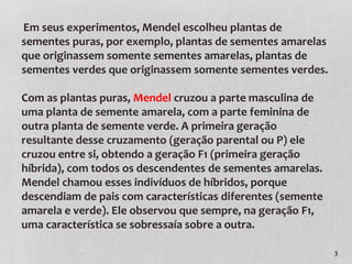3 
Em seus experimentos, Mendel escolheu plantas de 
sementes puras, por exemplo, plantas de sementes amarelas 
que originassem somente sementes amarelas, plantas de 
sementes verdes que originassem somente sementes verdes. 
Com as plantas puras, Mendel cruzou a parte masculina de 
uma planta de semente amarela, com a parte feminina de 
outra planta de semente verde. A primeira geração 
resultante desse cruzamento (geração parental ou P) ele 
cruzou entre si, obtendo a geração F1 (primeira geração 
híbrida), com todos os descendentes de sementes amarelas. 
Mendel chamou esses indivíduos de híbridos, porque 
descendiam de pais com características diferentes (semente 
amarela e verde). Ele observou que sempre, na geração F1, 
uma característica se sobressaía sobre a outra. 
 