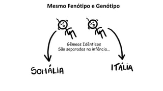 Mesmo Fenótipo e Genótipo
Gêmeos Idênticos
São separados na infância...
 