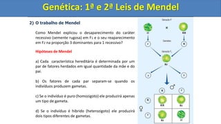 2) O trabalho de Mendel
Como Mendel explicou o desaparecimento do caráter
recessivo (semente rugosa) em F1 e o seu reaparecimento
em F2 na proporção 3 dominantes para 1 recessivo?
Hipóteses de Mendel
a) Cada característica hereditária é determinada por um
par de fatores herdados em igual quantidade da mãe e do
pai.
b) Os fatores de cada par separam-se quando os
indivíduos produzem gametas.
c) Se o indivíduo é puro (homozigoto) ele produzirá apenas
um tipo de gameta.
d) Se o indivíduo é hibrido (heterozigoto) ele produzirá
dois tipos diferentes de gametas.
Genética: 1ª e 2ª Leis de Mendel
Genética: 1ª e 2ª Leis de Mendel
 