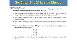 4) 2ª Lei de Mendel
Hipóteses de Mendel para o resultado obtido (9:3:3:1)
I. Na formação dos gametas os alelos para cor da semente V/v segregam-se
independentemente dos alelos que condicionam a forma da semente R/r.
II. Um gameta contendo o alelo “V” pode conter tanto o alelo “R” como o alelo “r” com
iguais chances.
III. Um gameta contendo o alelo “v” pode conter tanto o alelo “R” como também o alelo
“r”.
IV. Uma planta duplo-heterozigota VvRr pode formar de acordo com as hipóteses de
Mendel 4 tipos de gametas:
I. VR
II. Vr
III. vR
IV. Vr
V. A combinação ao acaso desses gametas para formar F2 resultaria na proporção
9:3:3:1.
Genética: 1ª e 2ª Leis de Mendel
V v R r
 