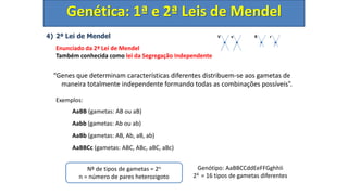 4) 2ª Lei de Mendel
Enunciado da 2ª Lei de Mendel
Também conhecida como lei da Segregação Independente
“Genes que determinam características diferentes distribuem-se aos gametas de
maneira totalmente independente formando todas as combinações possíveis”.
Exemplos:
AaBB (gametas: AB ou aB)
Aabb (gametas: Ab ou ab)
AaBb (gametas: AB, Ab, aB, ab)
AaBBCc (gametas: ABC, ABc, aBC, aBc)
Genética: 1ª e 2ª Leis de Mendel
V v R r
Nº de tipos de gametas = 2n
n = número de pares heterozigoto
Genótipo: AaBBCCddEeFFGghhIi
24 = 16 tipos de gametas diferentes
 