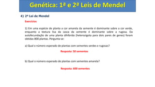 4) 2ª Lei de Mendel
Exercícios
1) Em uma espécie de planta a cor amarela da semente é dominante sobre a cor verde,
enquanto a textura lisa da casca da semente é dominante sobre a rugosa. Da
autofecundação de uma planta dihíbrida (heterozigota para dois pares de genes) foram
obtidas 800 plantas. Pergunta-se:
a) Qual o número esperado de plantas com sementes verdes e rugosas?
b) Qual o número esperado de plantas com sementes amarela?
Genética: 1ª e 2ª Leis de Mendel
Resposta: 50 sementes
Resposta: 600 sementes
 