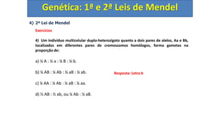 4) 2ª Lei de Mendel
Exercícios
4) Um indivíduo multicelular duplo-heterozigoto quanto a dois pares de alelos, Aa e Bb,
localizados em diferentes pares de cromossomos homólogos, forma gametas na
proporção de:
a) ¼ A : ¼ a : ¼ B : ¼ b.
b) ¼ AB : ¼ Ab : ¼ aB : ¼ ab.
c) ¼ AA : ¼ Ab : ¼ aB : ¼ aa.
d) ½ AB : ½ ab, ou ¼ Ab : ¼ aB.
Genética: 1ª e 2ª Leis de Mendel
Resposta: Letra b
 