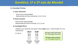 1) Conceitos Prévios
e) Gene dominante
Possui maior expressividade
Representado por letras maiúsculas: A, B, C, D, etc.
f) Genes recessivos
Possui menor expressividade
Representado por letras minísculas: a, b, c, d, etc.
g) Homozigoto (Puro)
Indivíduo que apresenta dois genes alelos iguais para a determinação de uma
característica
Genética: 1ª e 2ª Leis de Mendel
Dois genes alelos dominantes
AA = Homozigoto Dominante
Dois genes alelos recessivos
aa = Homozigoto Recessivo
Ex: AA; aa
Genética: 1ª e 2ª Leis de Mendel
Genética: 1ª e 2ª Leis de Mendel
 