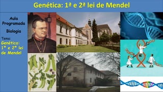 Aula
Programada
Biologia
Tema:
Genética:
1ª e 2ª lei
de Mendel
Genética: 1ª e 2ª lei de Mendel
 