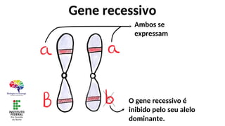 Gene recessivo
Ambos se
expressam
O gene recessivo é
inibido pelo seu alelo
dominante.
 
