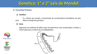 1) Conceitos Prévios
a) Genética
É a ciência que estuda a transmissão de características hereditárias de pais
para filhos ao longo das gerações.
b) Gene
Segmento da molécula de DNA capaz de determinar uma característica. Contém a
informação para a síntese de um polipeptídeo.
Genética: 1ª e 2ª Leis de Mendel
Genética: 1ª e 2ª Leis de Mendel
Genética: 1ª e 2ª Leis de Mendel
Genética: 1ª e 2ª Leis de Mendel
Genética: 1ª e 2ª Leis de Mendel
Genética: 1ª e 2ª Leis de Mendel
 