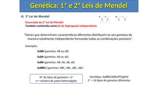 4) 2ª Lei de Mendel
Enunciado da 2ª Lei de Mendel
Também conhecida como lei da Segregação Independente
“Genes que determinam características diferentes distribuem-se aos gametas de
maneira totalmente independente formando todas as combinações possíveis”.
Exemplos:
AaBB (gametas: AB ou aB)
Aabb (gametas: Ab ou ab)
AaBb (gametas: AB, Ab, aB, ab)
AaBBCc (gametas: ABC, ABc, aBC, aBc)
Genética: 1ª e 2ª Leis de Mendel
Genética: 1ª e 2ª Leis de Mendel
V v R r
Nº de tipos de gametas = 2n
n = número de pares heterozigoto
Genótipo: AaBBCCddEeFFGghhIi
24
= 16 tipos de gametas diferentes
 