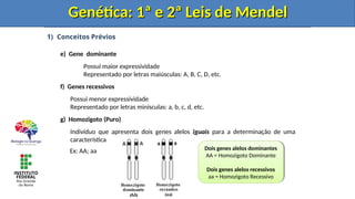 1) Conceitos Prévios
e) Gene dominante
Possui maior expressividade
Representado por letras maiúsculas: A, B, C, D, etc.
f) Genes recessivos
Possui menor expressividade
Representado por letras minísculas: a, b, c, d, etc.
g) Homozigoto (Puro)
Indivíduo que apresenta dois genes alelos iguais para a determinação de uma
característica
Genética: 1ª e 2ª Leis de Mendel
Genética: 1ª e 2ª Leis de Mendel
Dois genes alelos dominantes
AA = Homozigoto Dominante
Dois genes alelos recessivos
aa = Homozigoto Recessivo
Ex: AA; aa
Genética: 1ª e 2ª Leis de Mendel
Genética: 1ª e 2ª Leis de Mendel
Genética: 1ª e 2ª Leis de Mendel
Genética: 1ª e 2ª Leis de Mendel
 