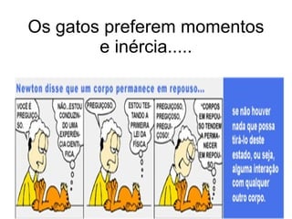 Os gatos preferem momentos e inércia..... 