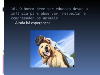 10. O homem deve ser educado desde a infância para observar, respeitar e compreender os animais.  Ainda há esperanças...  