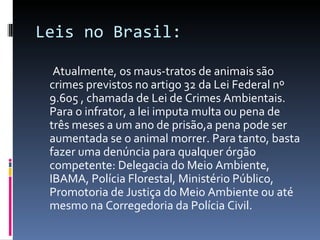 Leis no Brasil:   Atualmente, os maus-tratos de animais são crimes previstos no artigo 32 da Lei Federal nº 9.605 , chamada de Lei de Crimes Ambientais. Para o infrator, a lei imputa multa ou pena de três meses a um ano de prisão,a pena pode ser aumentada se o animal morrer. Para tanto, basta fazer uma denúncia para qualquer órgão competente: Delegacia do Meio Ambiente, IBAMA, Polícia Florestal, Ministério Público, Promotoria de Justiça do Meio Ambiente ou até mesmo na Corregedoria da Polícia Civil. 