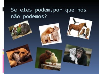 Se eles podem,por que nós não podemos? 