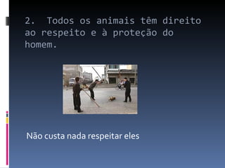 2.  Todos os animais têm direito ao respeito e à proteção do homem. Não custa nada respeitar eles 