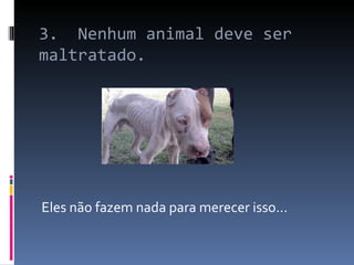 3.  Nenhum animal deve ser maltratado. Eles não fazem nada para merecer isso... 