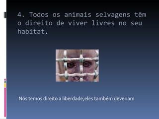 4. Todos os animais selvagens têm o direito de viver livres no seu habitat .   Nós temos direito a liberdade,eles também deveriam 