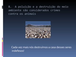 8.  A poluição e a destruição do meio ambiente são considerados crimes contra os animais  Cada vez mais nós destruímos a casa desses seres indefesos! 