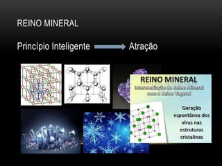 REINO MINERAL
Princípio Inteligente Atração
 