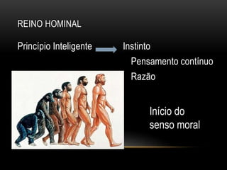 REINO HOMINAL
Princípio Inteligente Instinto
Pensamento contínuo
Razão
Início do
senso moral
 