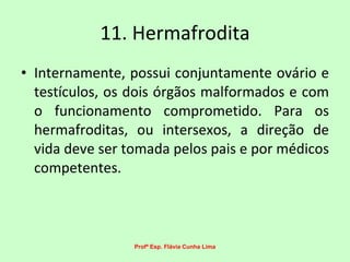 11. Hermafrodita Internamente, possui conjuntamente ovário e testículos, os dois órgãos malformados e com o funcionamento comprometido. Para os hermafroditas, ou intersexos, a direção de vida deve ser tomada pelos pais e por médicos competentes. Profª Esp. Flávia Cunha Lima 