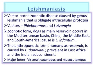 Vector-borne zoonotic disease caused by genus
leishmania that is obligate intracellular protozoa
Vectors – Phlebotomus and Lutzomyia
Zoonotic form, dogs as main reservoir, occurs in
the Mediterranean basin, China, the Middle East,
and South-America; cause is L. infantum.
The anthroponotic form, humans as reservoir, is
caused by L. donovani ; prevalent in East Africa
and the Indian subcontinent.
 Major forms: Visceral, cutaneous and mucocutaneous
 