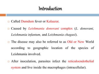 Introduction
 Called Dumdum fever or Kalaazar.
 Caused by Leishmania donovani complex (L. donovani,
Leishmania infantum, and Leishmania chagasi).
 The disease may also be referred to as Old or New World
according to geographic location of the species of
Leishmania involved.
 After inoculation, parasites infect the reticuloendothelial
system and live inside the macrophages (intracellular).
 
