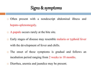 Signs & symptoms
 Often present with a nondescript abdominal illness and
hepato-splenomegaly.
 A papule occurs rarely at the bite site.
 Early stages of disease may resemble malaria or typhoid fever
with the development of fever and chills.
 The onset of these symptoms is gradual and follows an
incubation period ranging from 2 weeks to 18 months.
 Diarrhea, anemia and jaundice may be present.
 