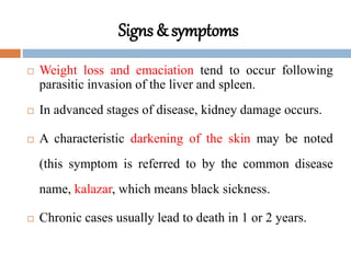 Signs & symptoms
 Weight loss and emaciation tend to occur following
parasitic invasion of the liver and spleen.
 In advanced stages of disease, kidney damage occurs.
 A characteristic darkening of the skin may be noted
(this symptom is referred to by the common disease
name, kalazar, which means black sickness.
 Chronic cases usually lead to death in 1 or 2 years.
 