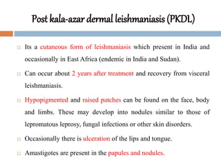 Post kala-azar dermal leishmaniasis (PKDL)
 Its a cutaneous form of leishmaniasis which present in India and
occasionally in East Africa (endemic in India and Sudan).
 Can occur about 2 years after treatment and recovery from visceral
leishmaniasis.
 Hypopigmented and raised patches can be found on the face, body
and limbs. These may develop into nodules similar to those of
lepromatous leprosy, fungal infections or other skin disorders.
 Occasionally there is ulceration of the lips and tongue.
 Amastigotes are present in the papules and nodules.
 