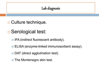 Lab diagnosis
 Culture technique.
 Serological test:
 IFA (indirect fluorescent antibody).
 ELISA (enzyme-linked immunosorbent assay).
 DAT (direct agglutination test).
 The Montenegro skin test.
 