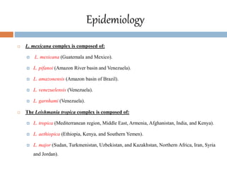 Epidemiology
 L. mexicana complex is composed of:
 L. mexicana (Guatemala and Mexico).
 L. pifanoi (Amazon River basin and Venezuela).
 L. amazonensis (Amazon basin of Brazil).
 L. venezuelensis (Venezuela).
 L. garnhami (Venezuela).
 The Leishmania tropica complex is composed of:
 L. tropica (Mediterranean region, Middle East, Armenia, Afghanistan, India, and Kenya).
 L. aethiopica (Ethiopia, Kenya, and Southern Yemen).
 L. major (Sudan, Turkmenistan, Uzbekistan, and Kazakhstan, Northern Africa, Iran, Syria
and Jordan).
 