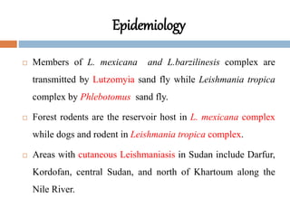 Epidemiology
 Members of L. mexicana and L.barzilinesis complex are
transmitted by Lutzomyia sand fly while Leishmania tropica
complex by Phlebotomus sand fly.
 Forest rodents are the reservoir host in L. mexicana complex
while dogs and rodent in Leishmania tropica complex.
 Areas with cutaneous Leishmaniasis in Sudan include Darfur,
Kordofan, central Sudan, and north of Khartoum along the
Nile River.
 