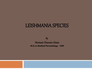 LEISHMANIA SPECIES
By
MontasirGhaneimAlzain
M.Sc in Medical Parasitology / UOF
 