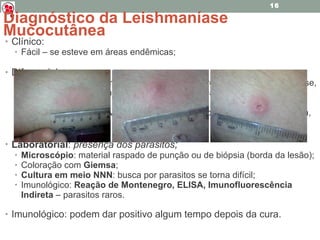 Clínico:  Fácil – se esteve em áreas endêmicas; Diferencial:  Cutânea : Úlceras traumáticas, úlceras vasculares, paracoccidioidomicose, esporotricose, cromomicose, neoplasias cutâneas, síflis e tuberculose cutânea. Mucosa : Hanseníase virchowiana, paracoccidioidomicose, síflis terciária, neoplasias. Laboratorial :  presença dos parasitos ; Microscópio : material raspado de punção ou de biópsia (borda da lesão); Coloração com  Giemsa ; Cultura em meio NNN : busca por parasitos se torna difícil; Imunológico:  Reação de Montenegro, ELISA, Imunofluorescência Indireta  – parasitos raros. Imunológico: podem dar positivo algum tempo depois da cura. Diagnóstico da Leishmaníase Mucocutânea 