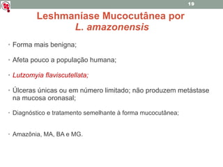 Forma mais benigna; Afeta pouco a população humana; Lutzomyia flaviscutellata; Úlceras únicas ou em número limitado; não produzem metástase na mucosa oronasal; Diagnóstico e tratamento semelhante à forma mucocutânea; Amazônia, MA, BA e MG. Leshmaníase Mucocutânea por  L. amazonensis 